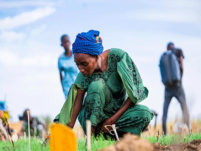 Doper le potentiel de l’entreprenariat national au sein d’une société collaborative